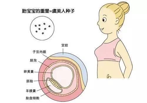 宫颈内膜厚度多少正常_子宫内膜厚度_经期内膜厚度多少正常