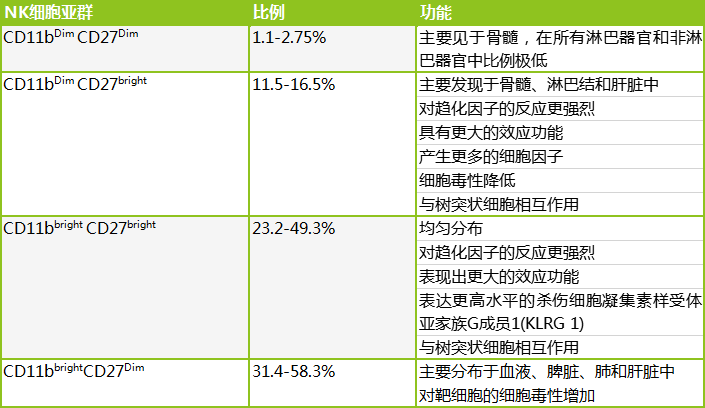 nk细胞