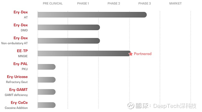 红细胞