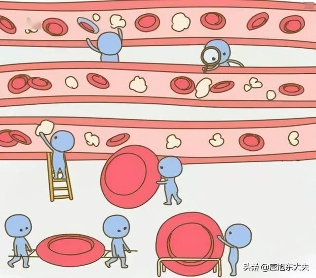 白纹伊蚊c/细胞_口袋妖怪白2人造细胞卵_白细胞