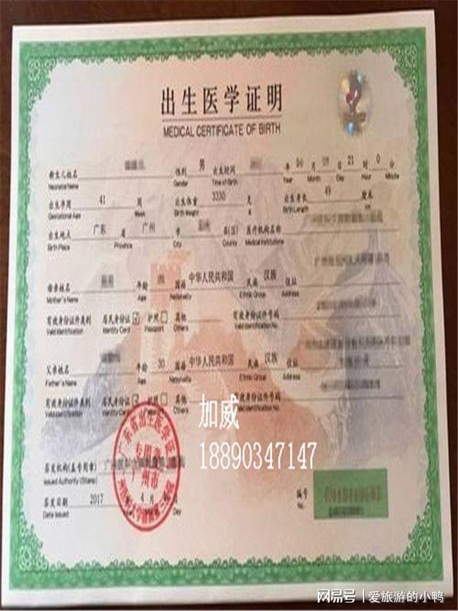 出生医学证明办理须知_出生证明办理_出生医学证明办理流程