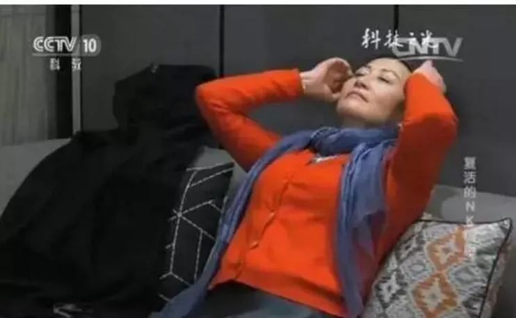 nk细胞