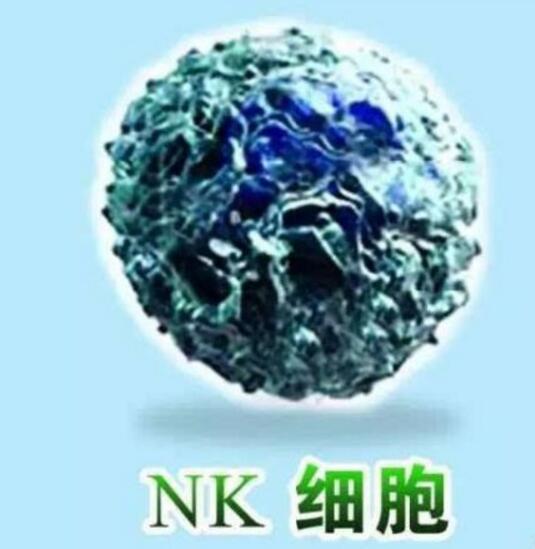 QQ截图20200602130506.jpg