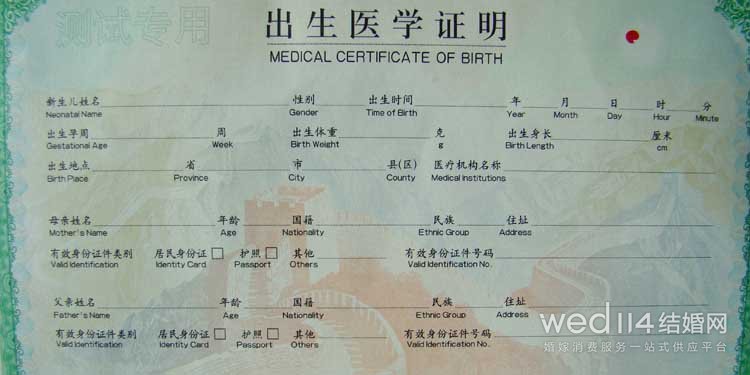 出生证明办理