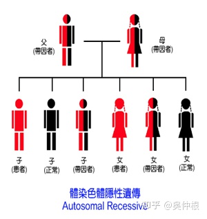 地中海贫血