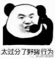黄体素