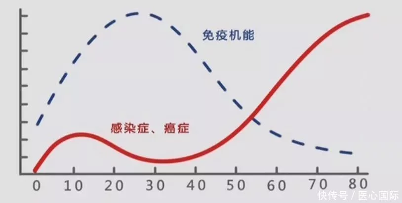 nk细胞