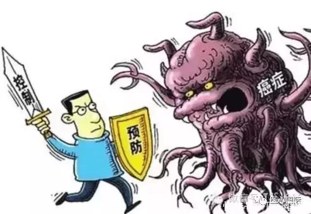 nk细胞
