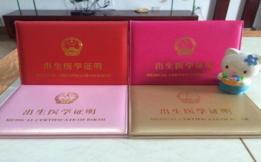 出生证明在哪里办理