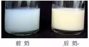 奶水稀