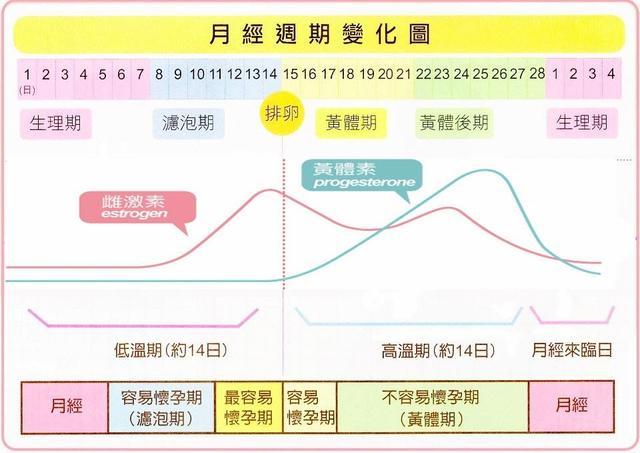 黄体素