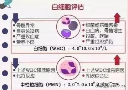 nk细胞_nk细胞偏低_nk细胞是什么