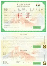出生证明办理