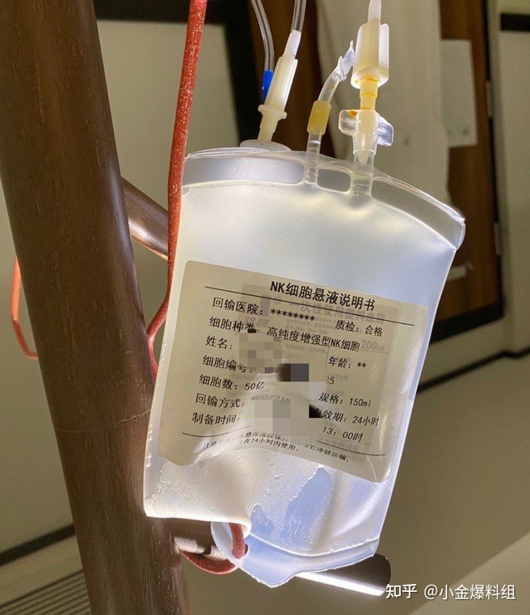 nk细胞