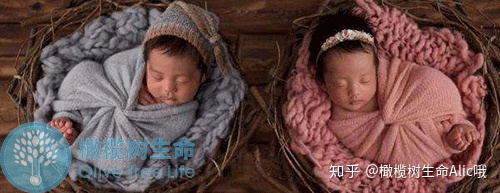 怎么生双胞胎