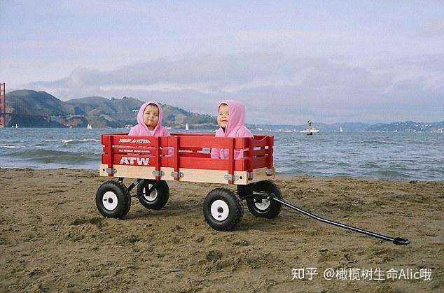 怎么生双胞胎