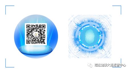 nk细胞