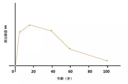 nk细胞