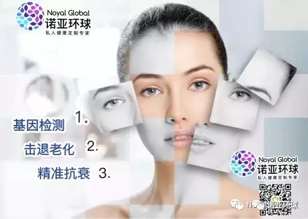 nk细胞