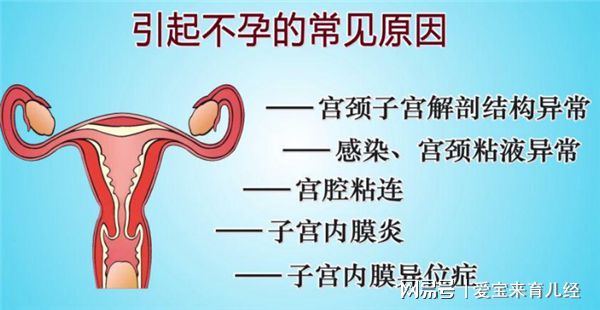 宫颈内口粘连_单腔造瘘和双腔造瘘_宫腔粘连