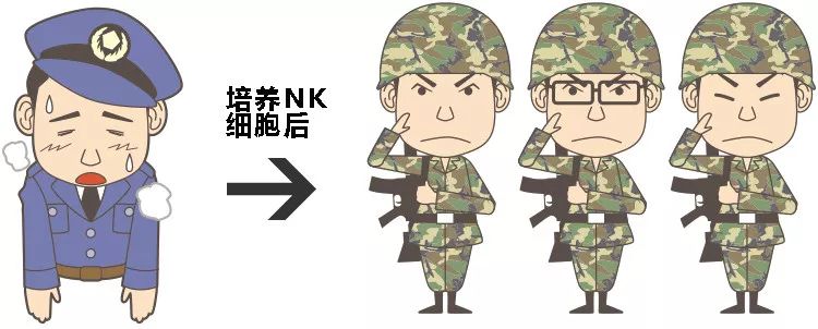 nk细胞