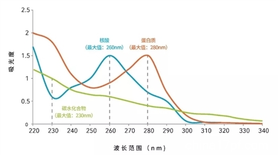 羊初乳_初乳_产后初乳