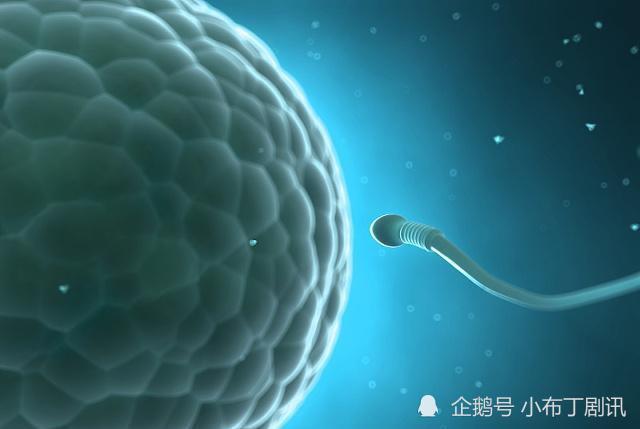 着床降温一度_着床降温什么原理_着床降温