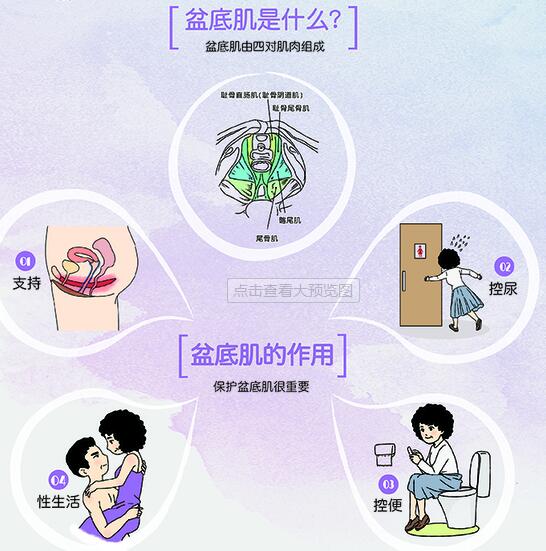 盆底肌修复_盆底肌康复训练_盆底肌康复治疗仪