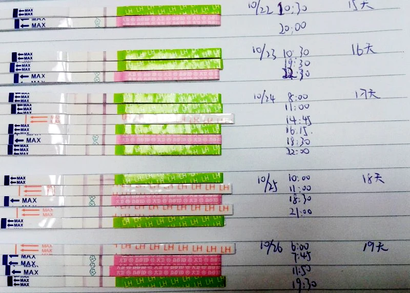 卵泡期促黄体生成素_滤泡期短的话黄体期会延长吗_黄体期