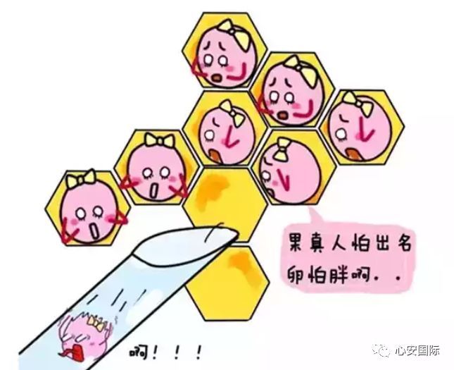 滤泡期短的话黄体期会延长吗_卵泡期促黄体生成素_黄体期