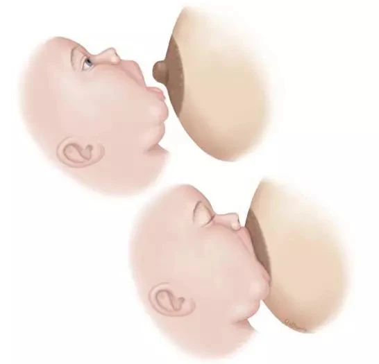 初乳是指产后几日内的乳汁_羊初乳_产后初乳