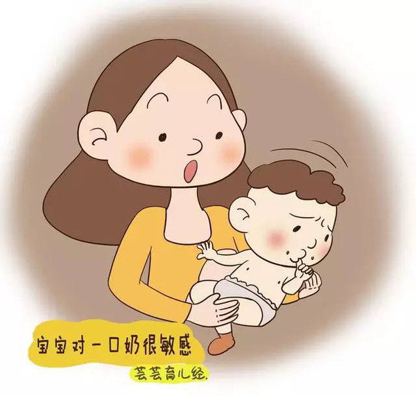 初乳是指产后几日内的乳汁_产后初乳_羊初乳