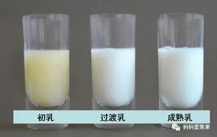 产后初乳