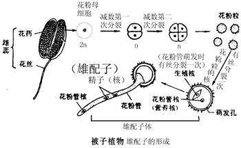 着床降温图_着床降温两天_着床降温