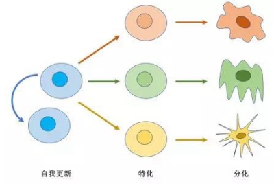 着床降温图_着床降温两天_着床降温