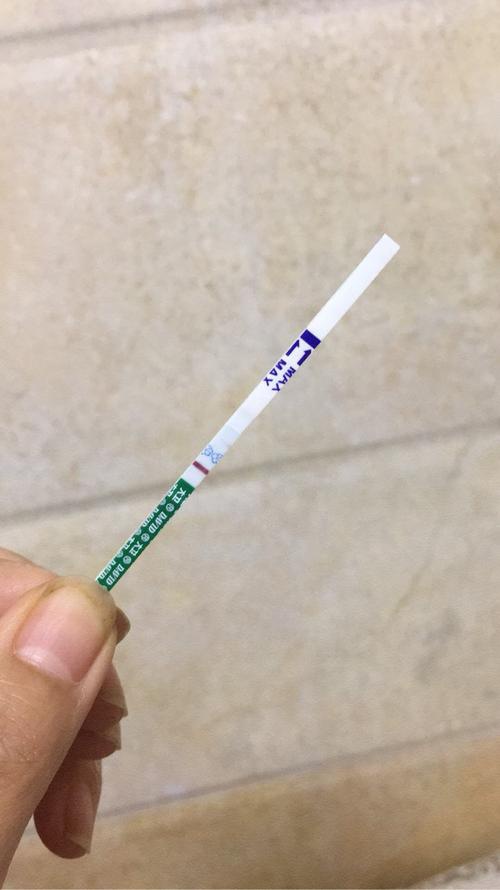 试纸强阳后多久排卵_排卵试纸强阳_排卵试纸强阳后多久排卵