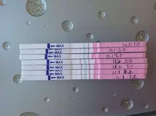 排卵试纸强阳后多久排卵_试纸强阳后多久排卵_排卵试纸强阳