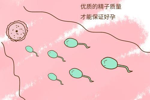 不孕滋 肾育胎丸_不孕不育_不孕不育的症状有哪些