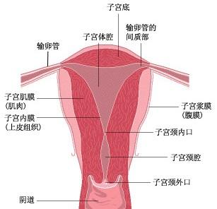小月子_小月子月子餐_小月子要做多久
