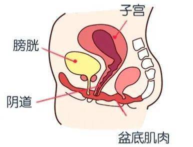 顺产产后恶露多久干净_产后恶露干净_产后恶露