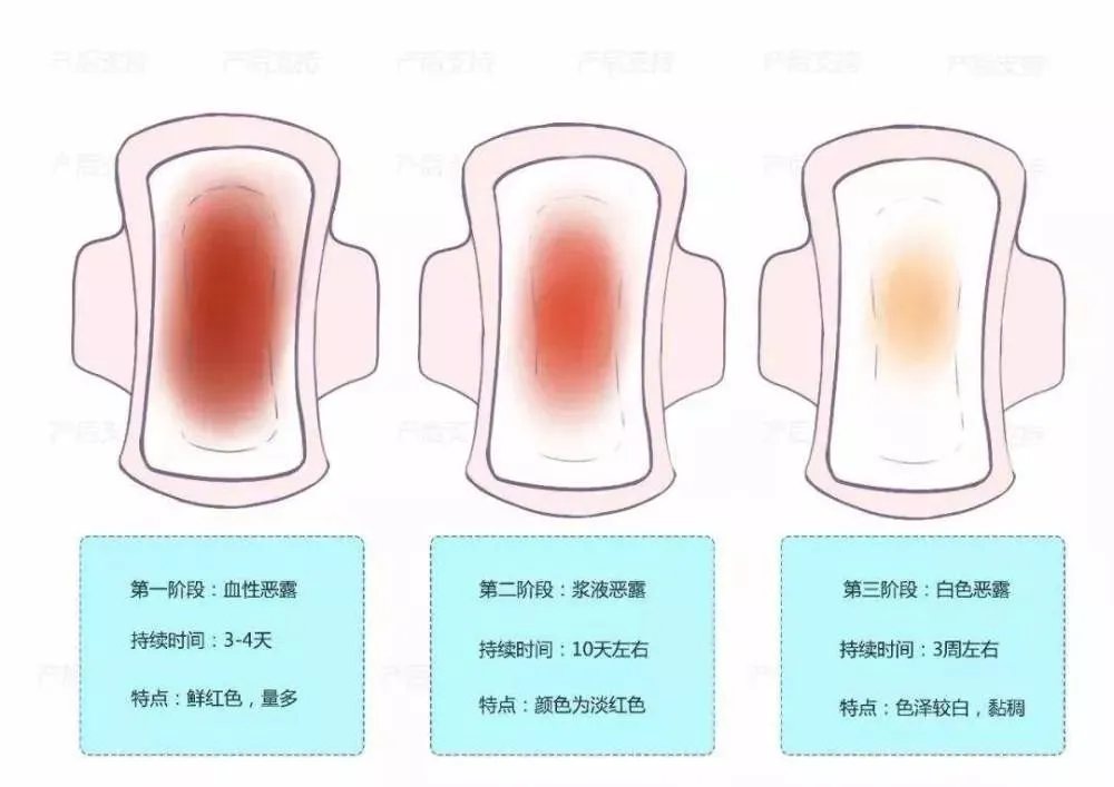 产后恶露反复_产后恶露膏_产后恶露