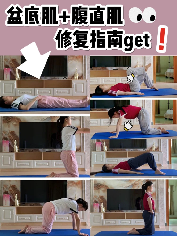 盆底肌修复
