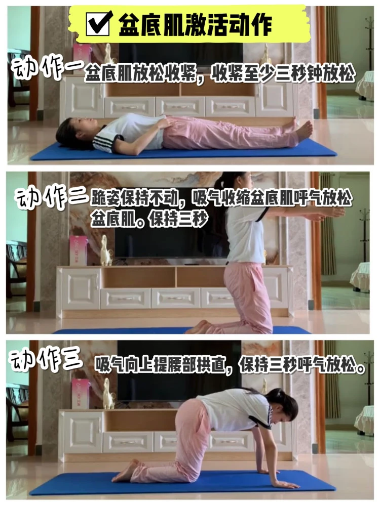 盆底肌修复