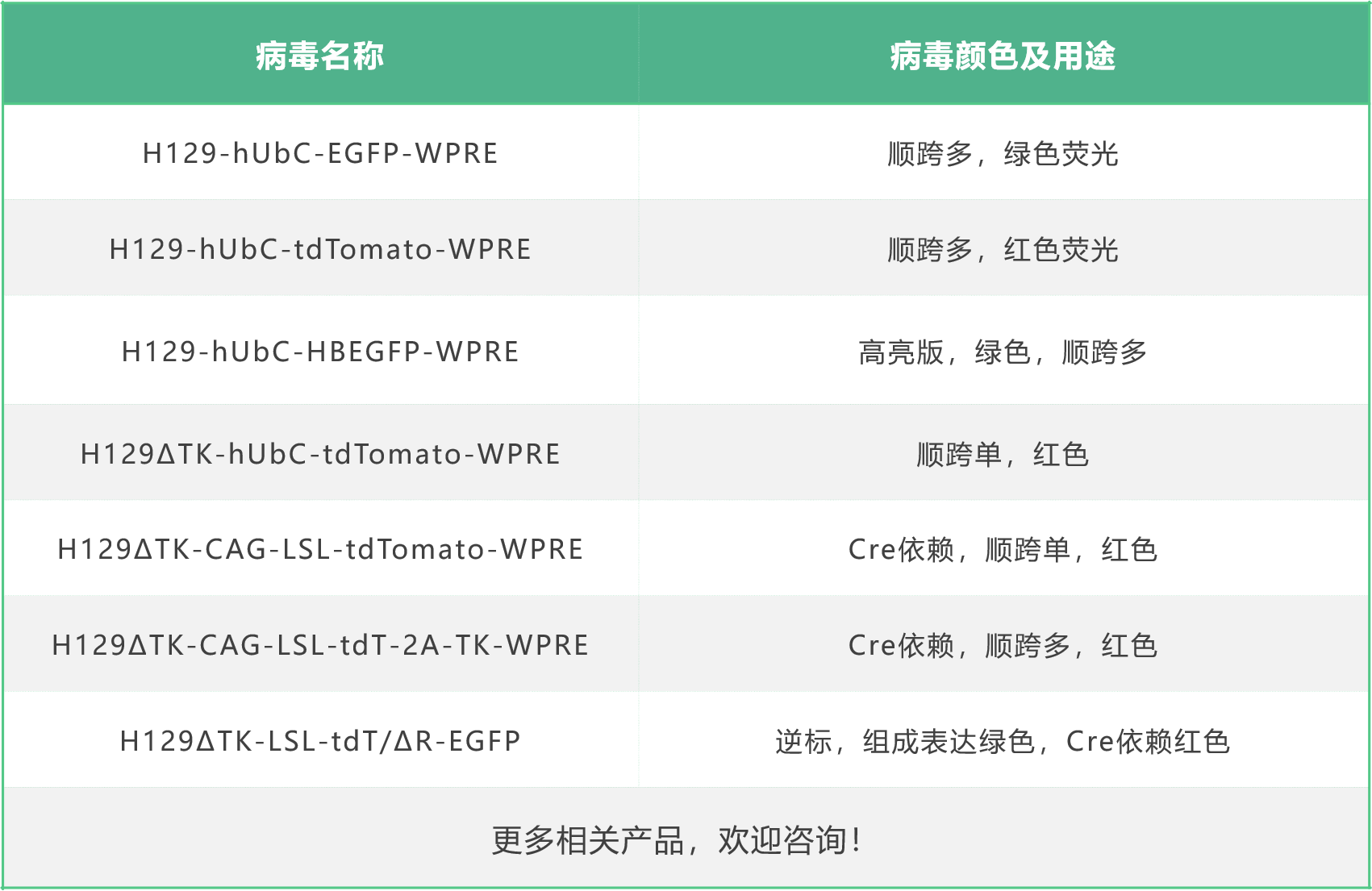 单纯疱疹病毒