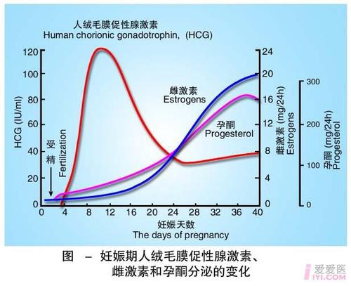 雌激素低怎么办_激素引起的低钾怎么办_雌孕激素低