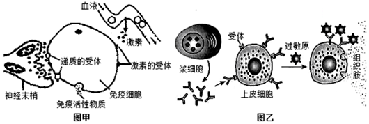 雌激素低怎么办_黄体生成激素低怎么办_促甲状腺激素低原因