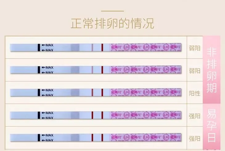 排卵试纸强阳_大卫排卵试纸强阳后多久排卵_排卵试纸强阳后多久排卵