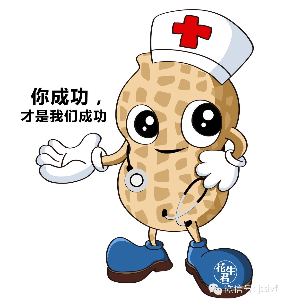 窦卵泡计数