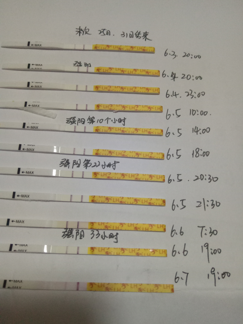 测排卵试纸强阳后多久排卵_大卫排卵试纸强阳后多久排卵_排卵试纸强阳