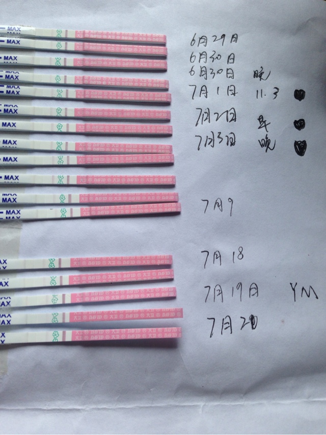 排卵试纸强阳_测排卵试纸强阳后多久排卵_大卫排卵试纸强阳后多久排卵